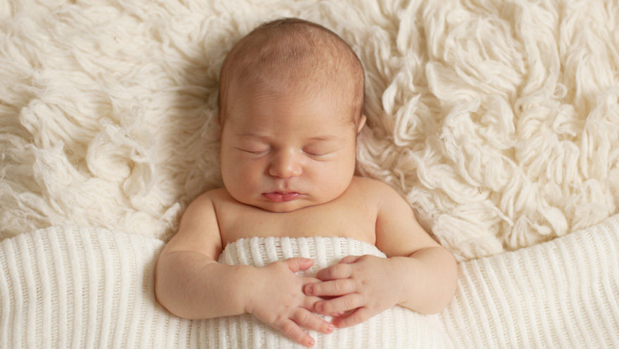 Accueil Cl&eacute;ment